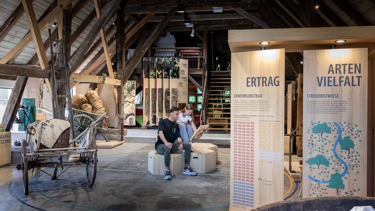 VISUELL Szenografie: Obstbaumuseum: Zwei Besucher sitzen in der Mitte der Ausstellung und betrachten eine Informationstafel in ihren Händen
