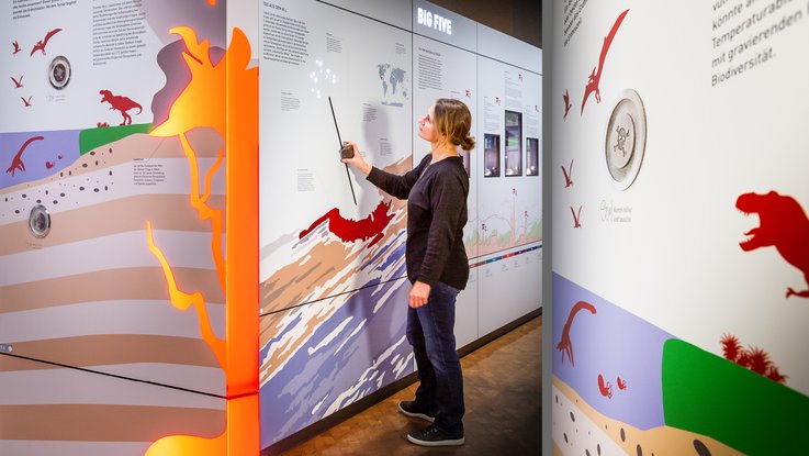 VISUELL Szenografie: Naturkundemuseum: Besucher bestaunt die Ausstellung im Bereich "Aussterben", bei der man einen Asteoriden auf die Erde steuern kann
