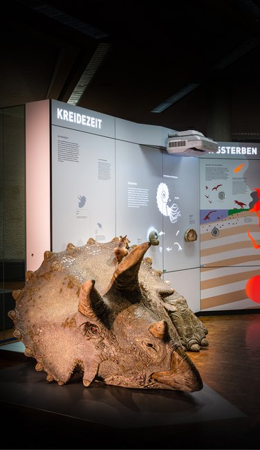 VISUELL Szenografie: Naturkundemuseum: Ein Dinosaurier liegt auf dem Boden vor einer Informationstafel