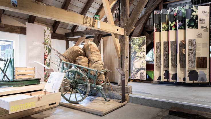 VISUELL Szenografie: Obstbaumuseum: Ausstellungsbereich "Sommer" im Überblick mit großem Exponat eines Sackkarrens
